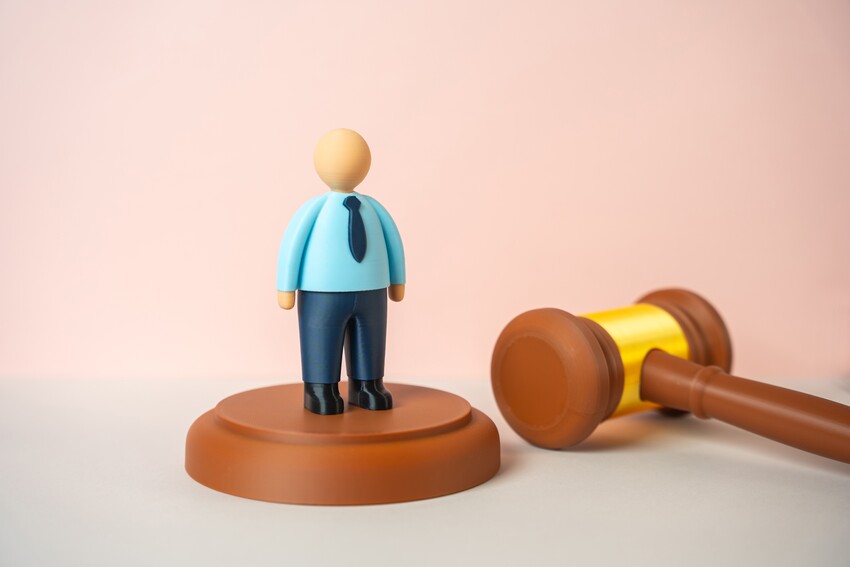 The Communications Ombudsman and Small Business Telecom Complaints