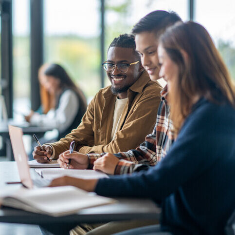 Business Analysis & Process Re-engineering