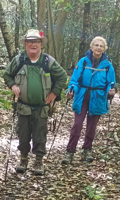 Holmwood to Coldharbour, Thursday 22nd October | Croydon HF Rambling Club | Walking Clubs in Croydon  | Rambling Croydon | HF Rambling, Croydon