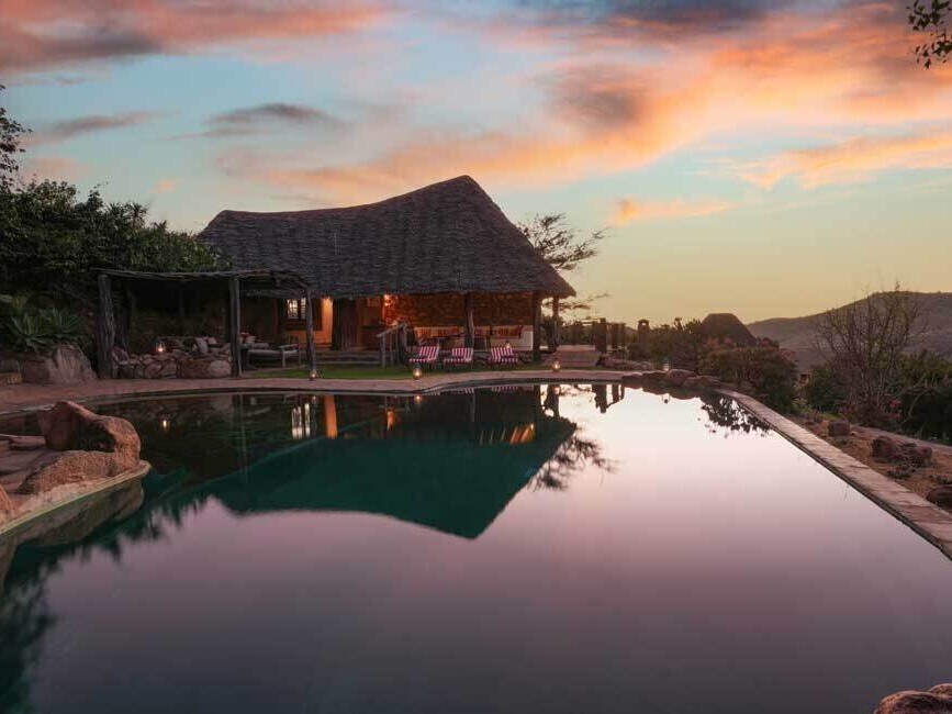 A Journey to Pride Rock