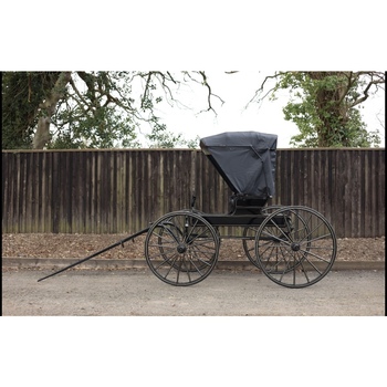 Emerson  Brantingham Illinois Carriage  (1147251)