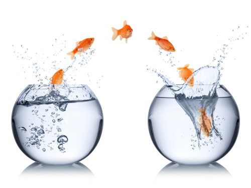 Reaching Out to Current and Former Employees of the UK Financial Ombudsman Service (FOS): A Call for Insights