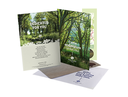 Dedicate a Tree in Memory of Your Pet | Rainbow Bridge Pet Funerals