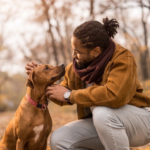 Saying Goodbye: Understanding Pet Cremation