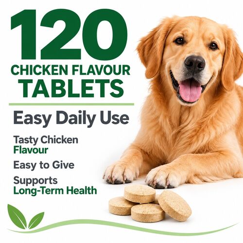 Cystiflow Urinary & Kidney Support 120 Tablets.