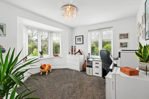 Lessing Lane, Eastbourne