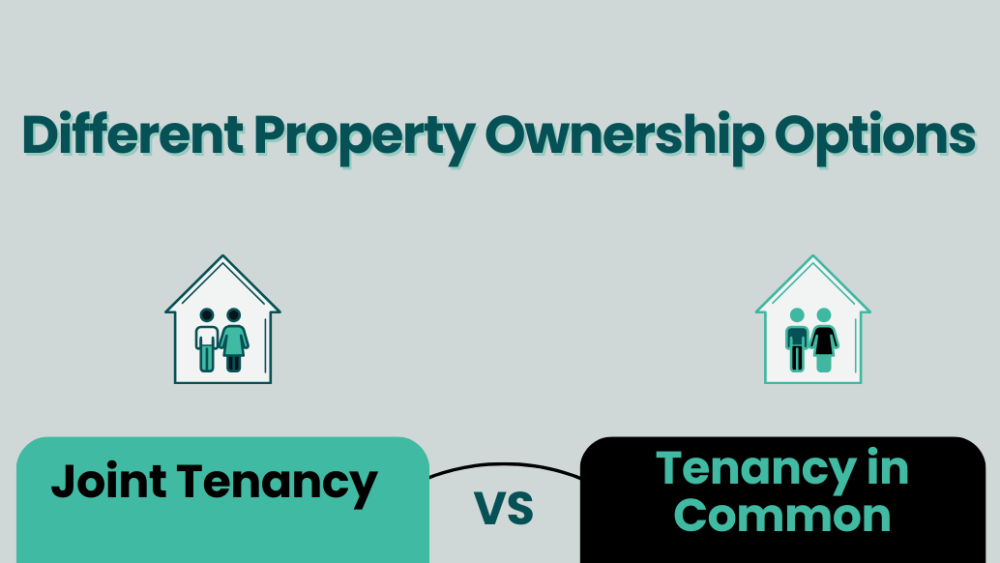 Legal insights: Co-ownership of property 