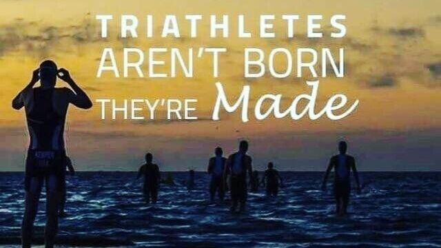 More Than a Metric: Why Your Story is the Heart of Your Training