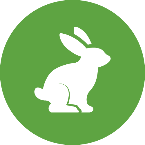 Services | Northdowns Pest Control Ltd | Pest control Guildford | Rodent control Guildford, Woking | Wasp nest removal Surrey