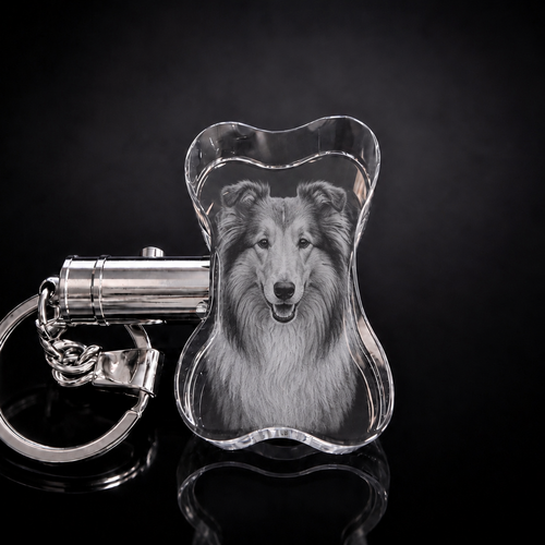 XXXL 3D Crystal Dog Bone LED Photo Keyring