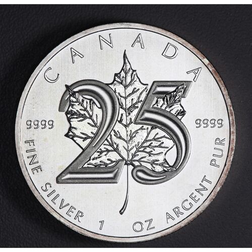 2013 1 ounce silver Maple leaf