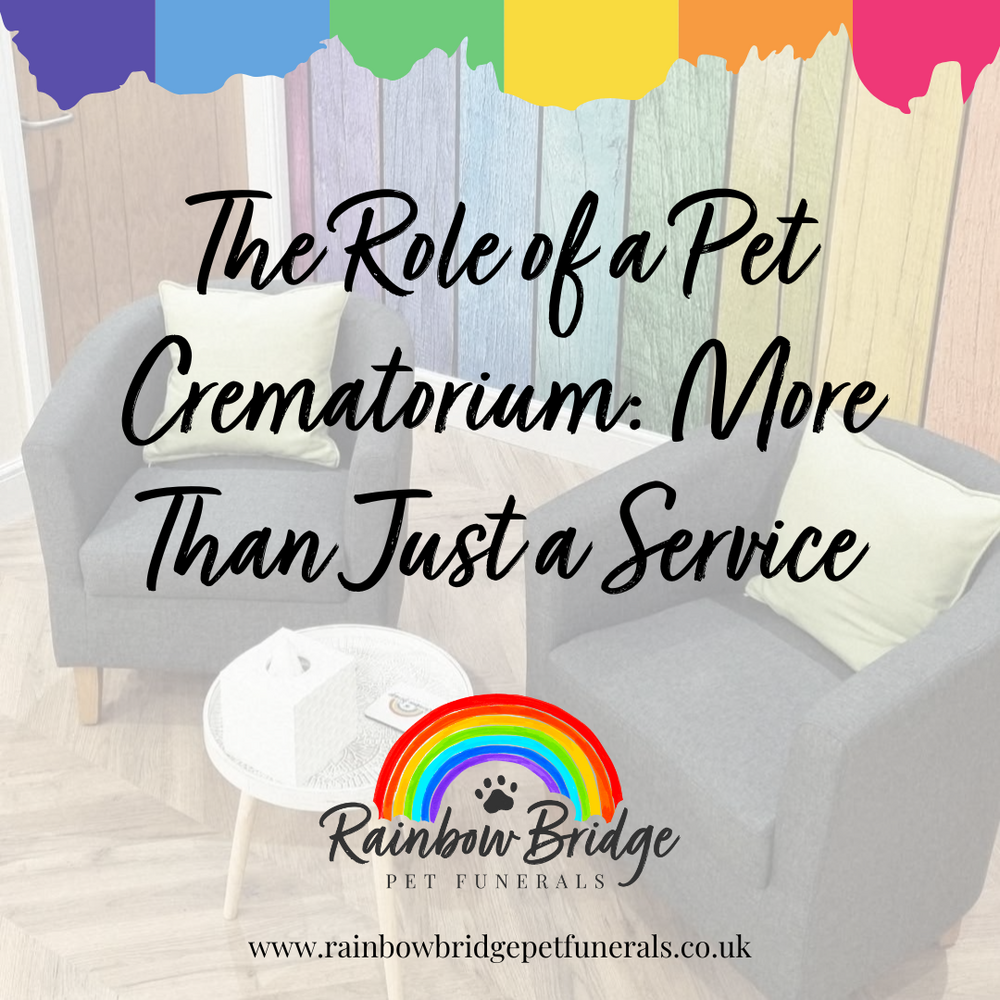 The Role of a Pet Crematorium: More Than Just a Service