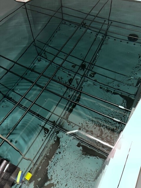 water storage tank clean & disinfection