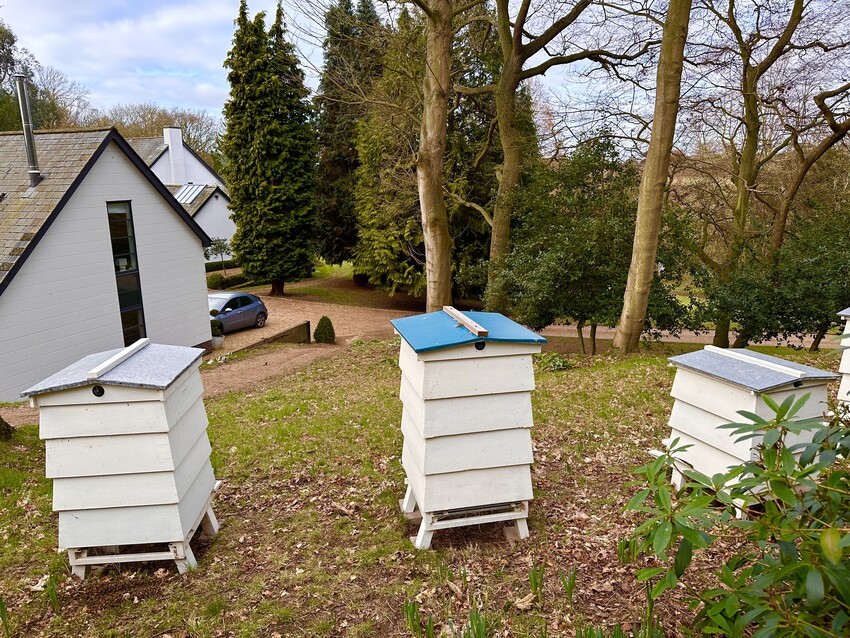 Hives we use