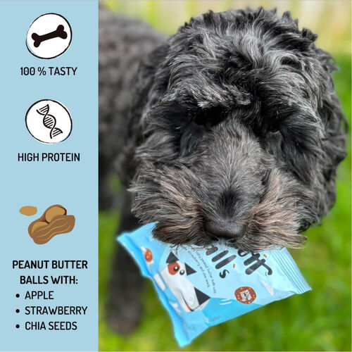 Peamutt Butter Balls Dog Treats 6 balls Packet 45g