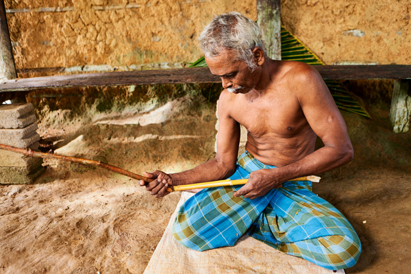 The Magic of Ceylon Cinnamon: Nature's Sweet Treasure
