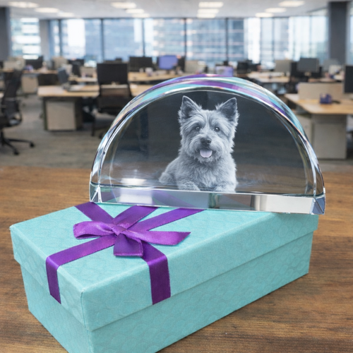 Fabulous New Luxury Nairn Half Moon Crystal.