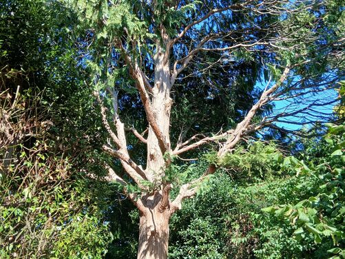 Late Summer in Oxfordshire 2026