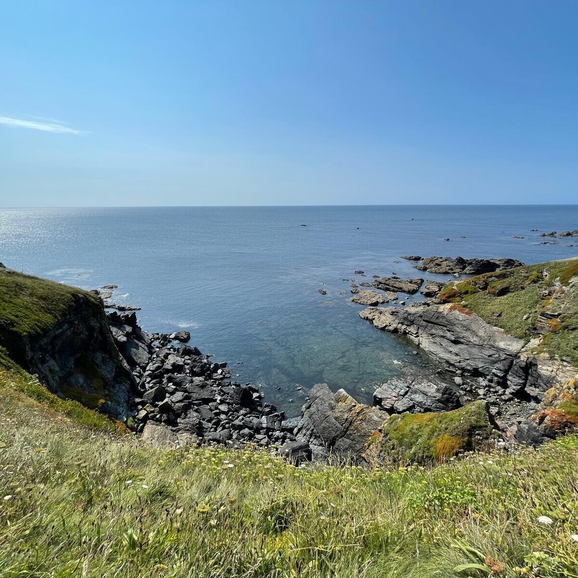 Single Session Supervision Groups