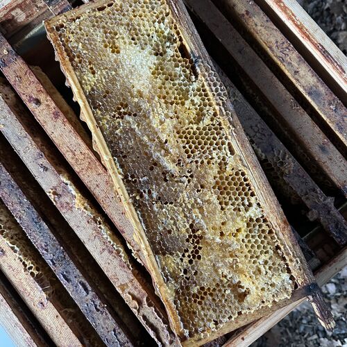 Gallery | East Anglia Apiaries | Raw honey | Local honey | Natural Honey