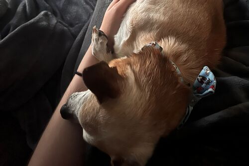 Marley