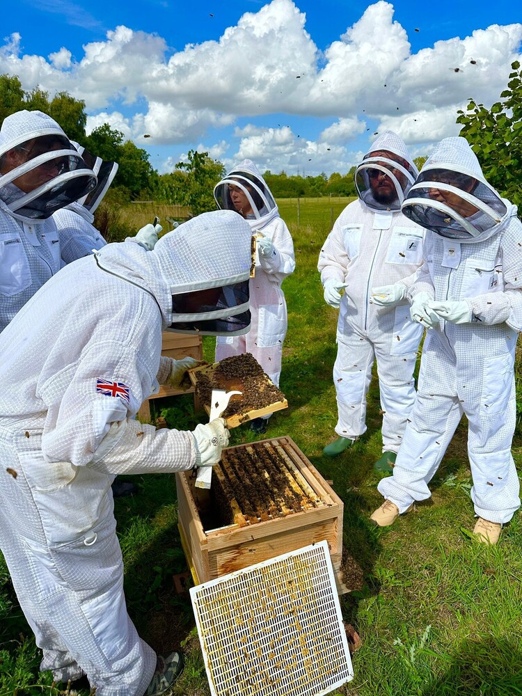 Our Events and courses | East Anglia Apiaries | Raw honey | Local honey | Natural Honey
