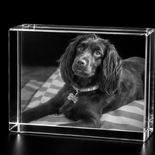 Pet 3D Crystal Gifts | 3d Crystal Shop | 3d crystal glass engraving | Personalised 3d engraving  | 3d crystal photo