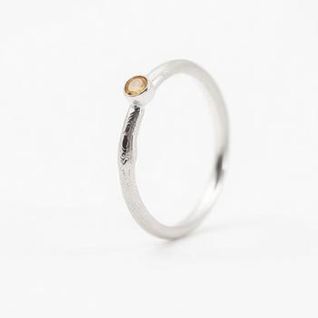 Workshop 3: Reticulated Silver 