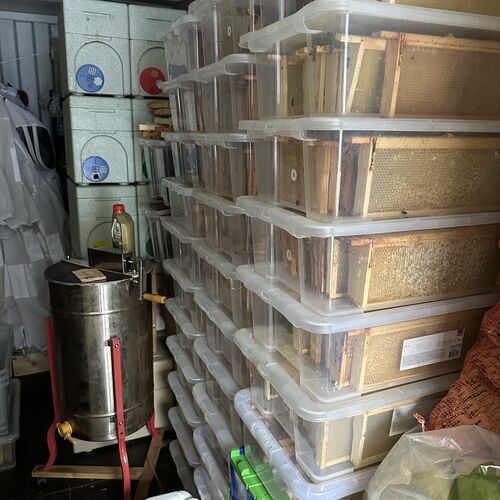 Gallery | East Anglia Apiaries | Raw honey | Local honey | Natural Honey