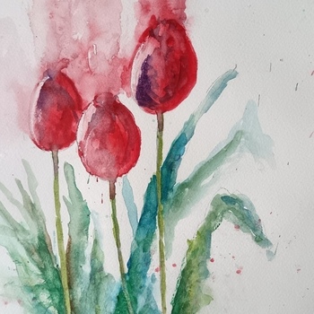 Tulips