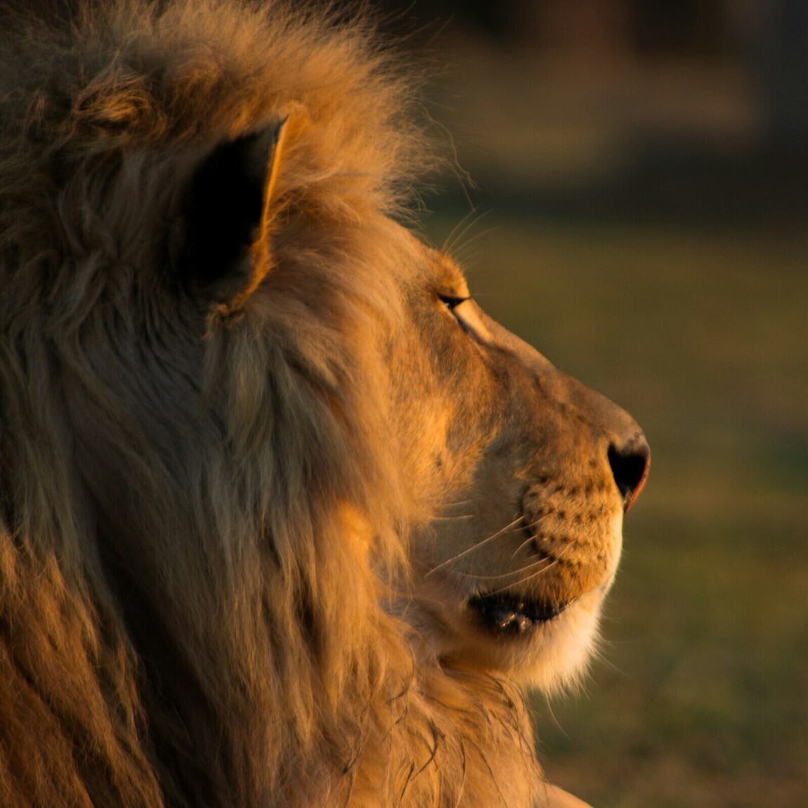 South Africa Retreat