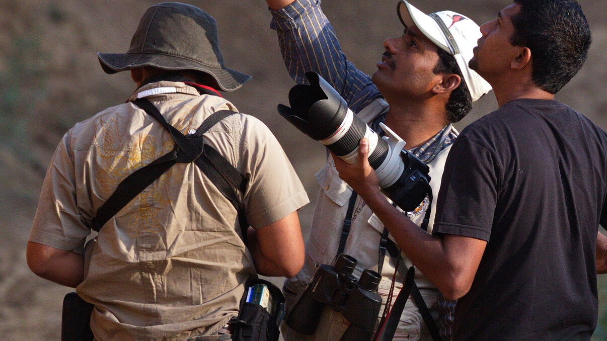 Chambal Safari Lodge