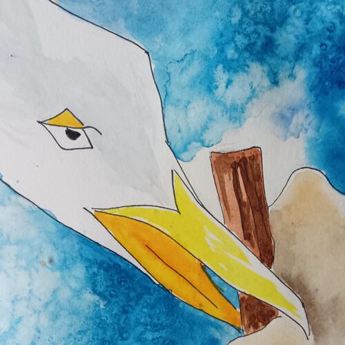 Naughty seagull
