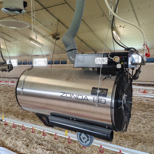 It's nearly time for the Pig and Poultry Fair!