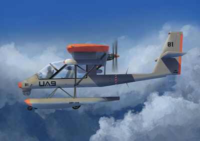 Patrol and Surveillance Aircraft, Conservation and Environmental Protection, Maritime Patrol