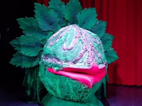 Stills Gallery | Not Just Props Hertfordshire