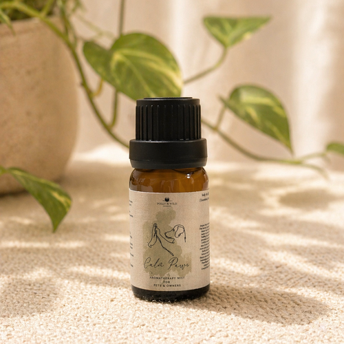 Signature Essential Oil Collection