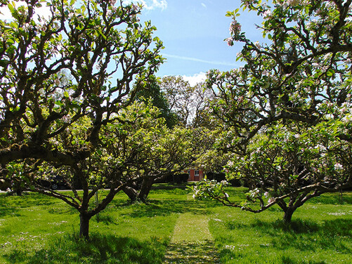 Late Summer in Oxfordshire 2026