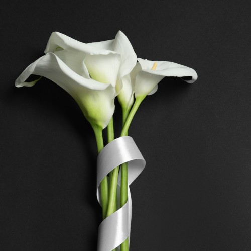 In Memory of David Vousden