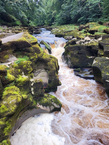 Journeying through the Yorkshire Dales, August 2025