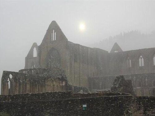 Tintern Abbey - Advent in the Valley