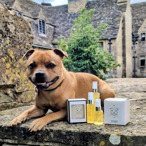 The Staffordshire Bull Terrier Room/Upholstery Spray