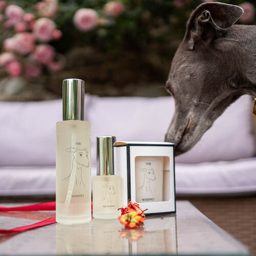 The Dog Breed Collection