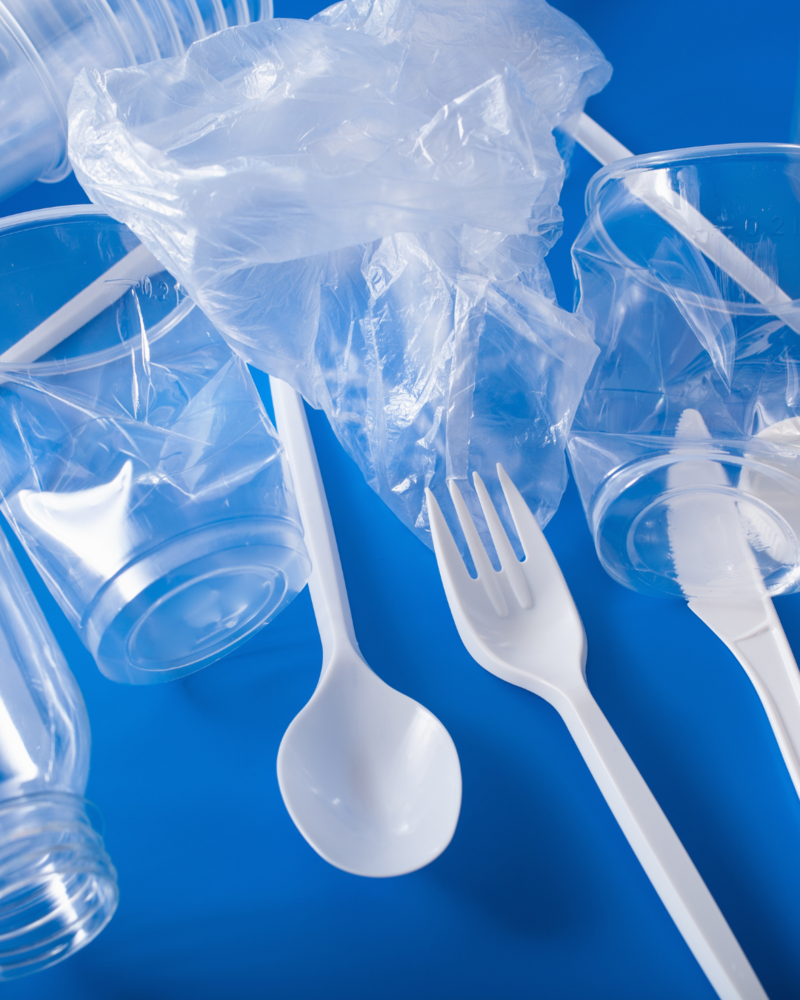 How Plastics and Xenoestrogens Are Wrecking Your Hormones – And What to Do About It