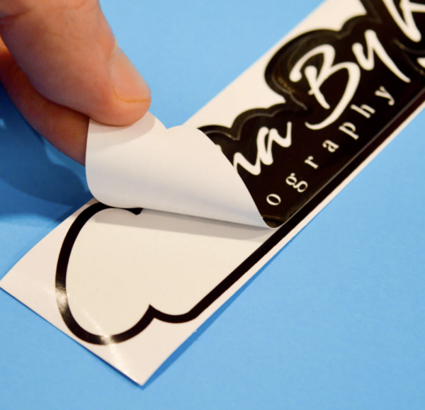 What We Do / Services