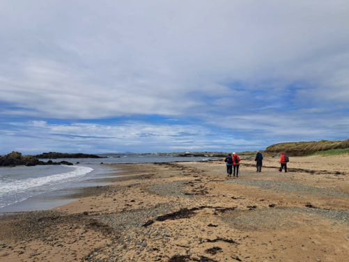 FULL - Isle of Anglesey, Wales 2026 - FULL