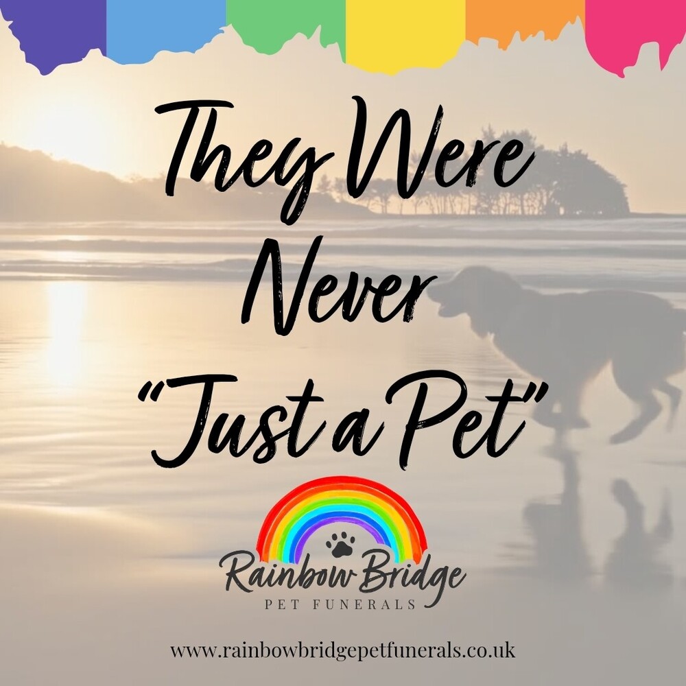 They Were Never Just a Pet | Rainbow Bridge Pet Funeral Services