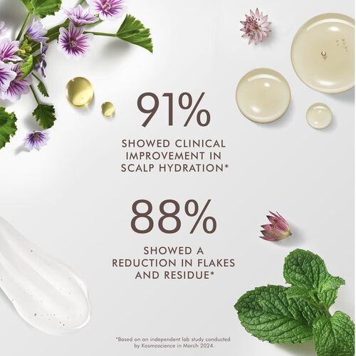 Moroccan Oil Scalp Balancing Conditioner 250ml