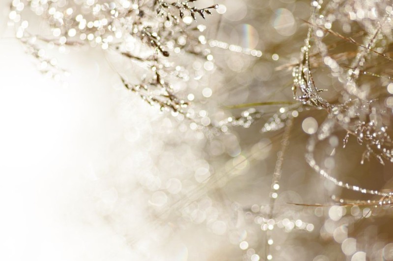 A Gentle Guide to Interpersonal Therapy (IPT)