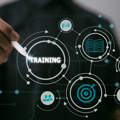  Training and Development